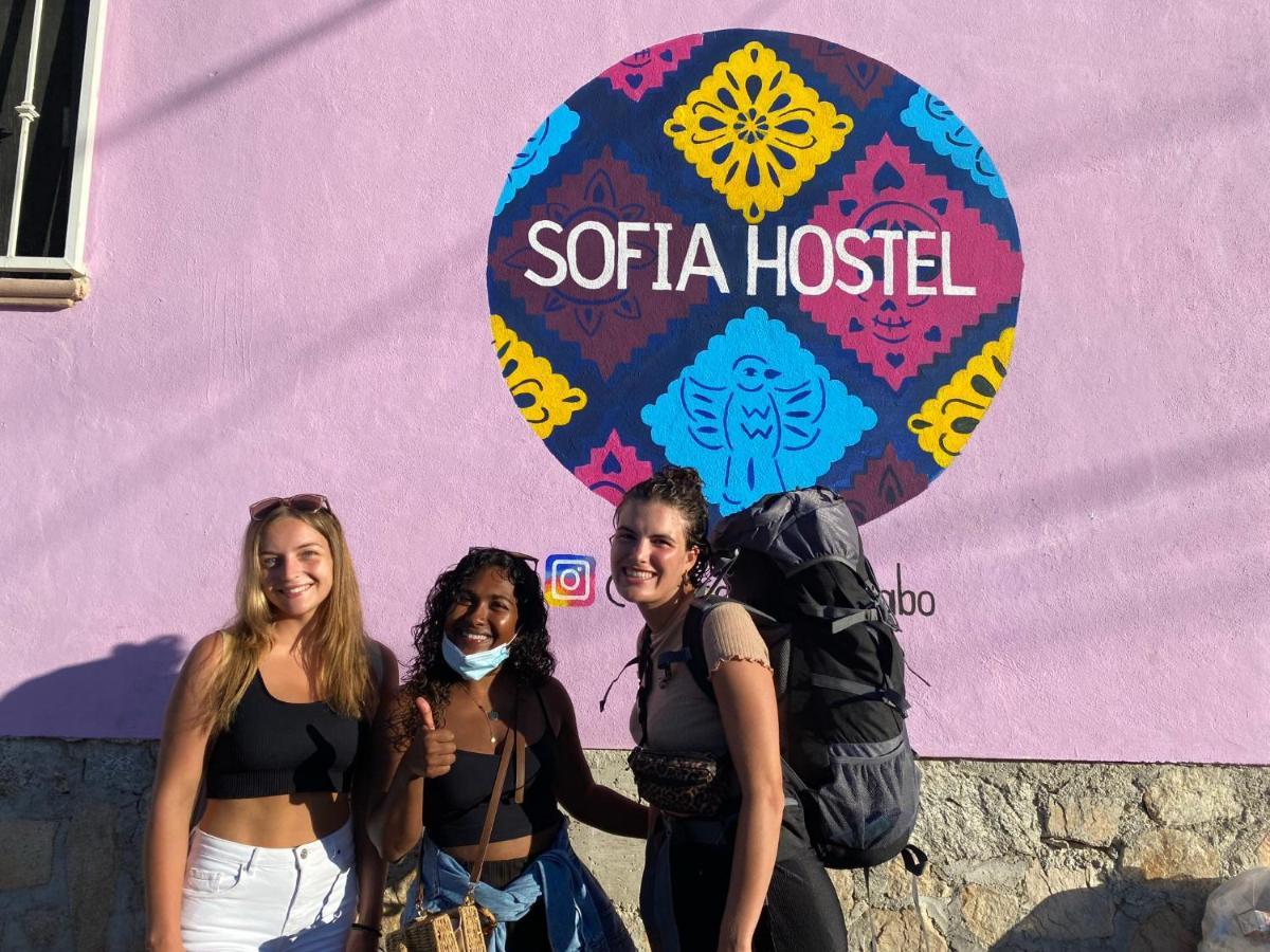 Sofia Hostel Cabo Cabo San Lucas Extérieur photo