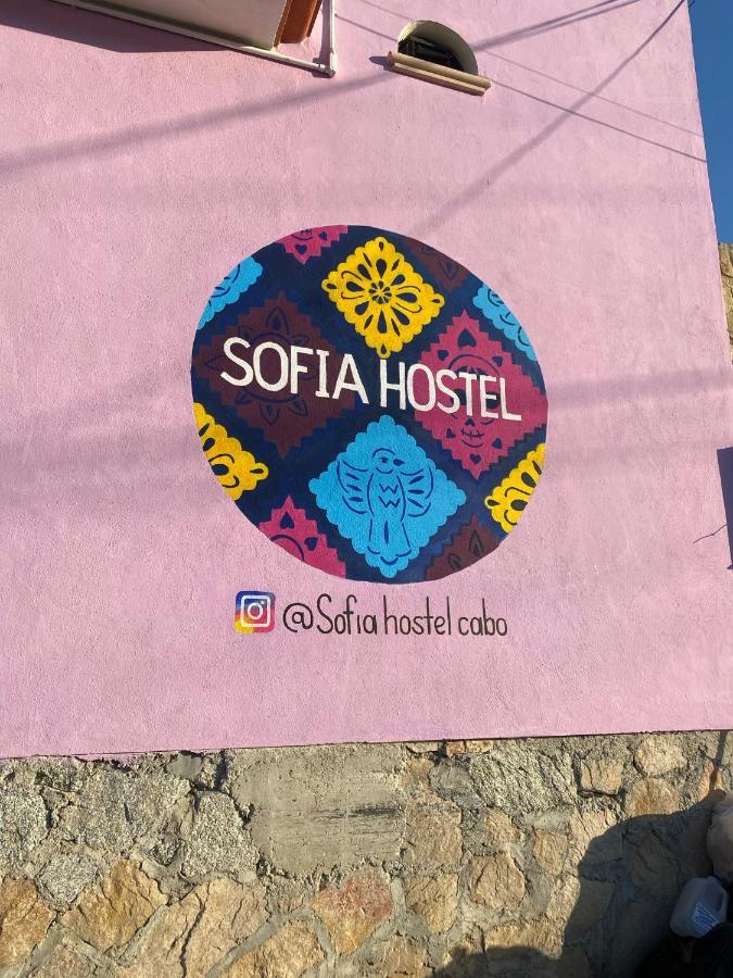 Sofia Hostel Cabo Cabo San Lucas Extérieur photo